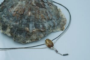 Złotoskrzydły chrabąszcz